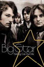 Big Star Nothing Can Hurt Me 2012 Subtitle Indonesia